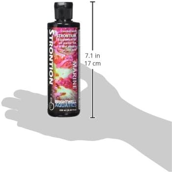 Brightwell Aquatics Strontion High-Strength Ionic Strontium Supplement for Reef Aquariums Supports Coral Skeletal Growth Aragonite Formation SPS LPS, 250 ml