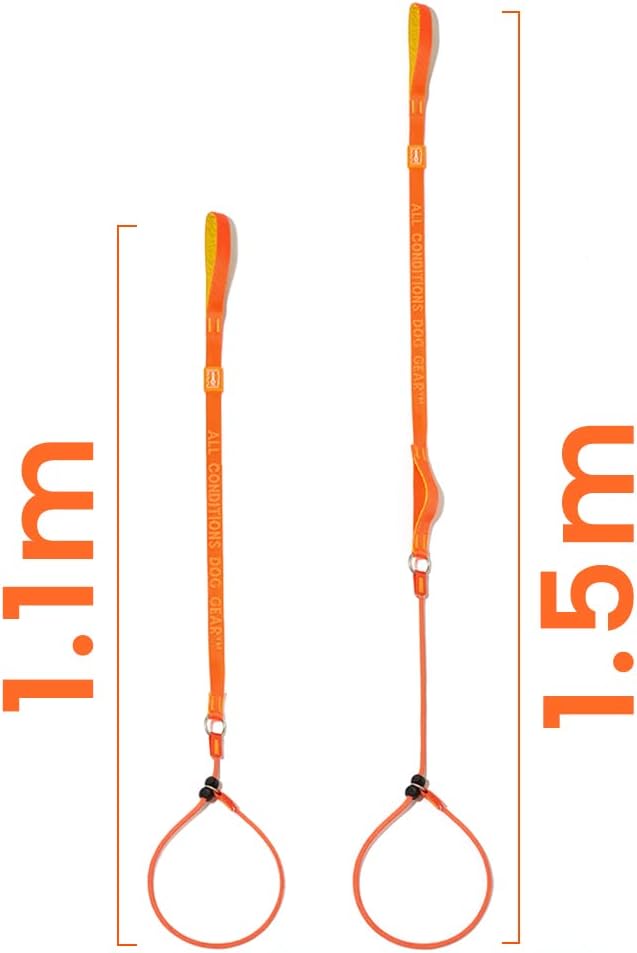 Howgo Dog Slip Lead Dog Leash, Training Lead, No-Pull Slip Leash and Collar, Heavy Duty & Durable Nylon, Padded Handle, for All Breeds (MintGreen, 3.6FT)