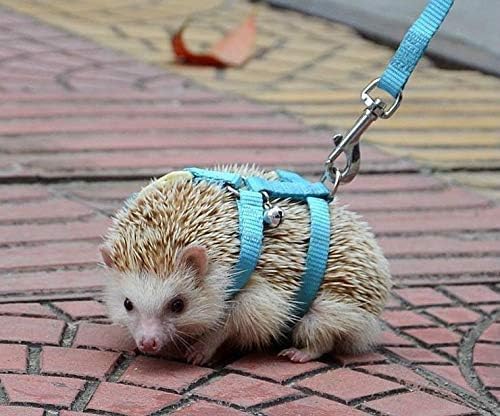 Adjustable Small Pet Hedgehog Harness for Training Playing Traction Rope (Pink)