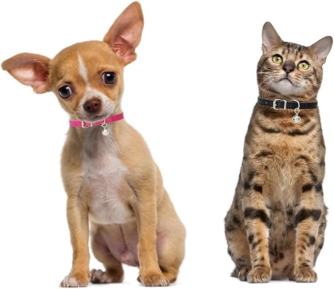 Green XXS Dog Collar with Bell, Faux Leather Puppy Collar with Bells Pu Basic Boy Cat Collars for XXS XSmall Small Medium Pet Male Dogs Little Cats Tiny Animal, XXSmall