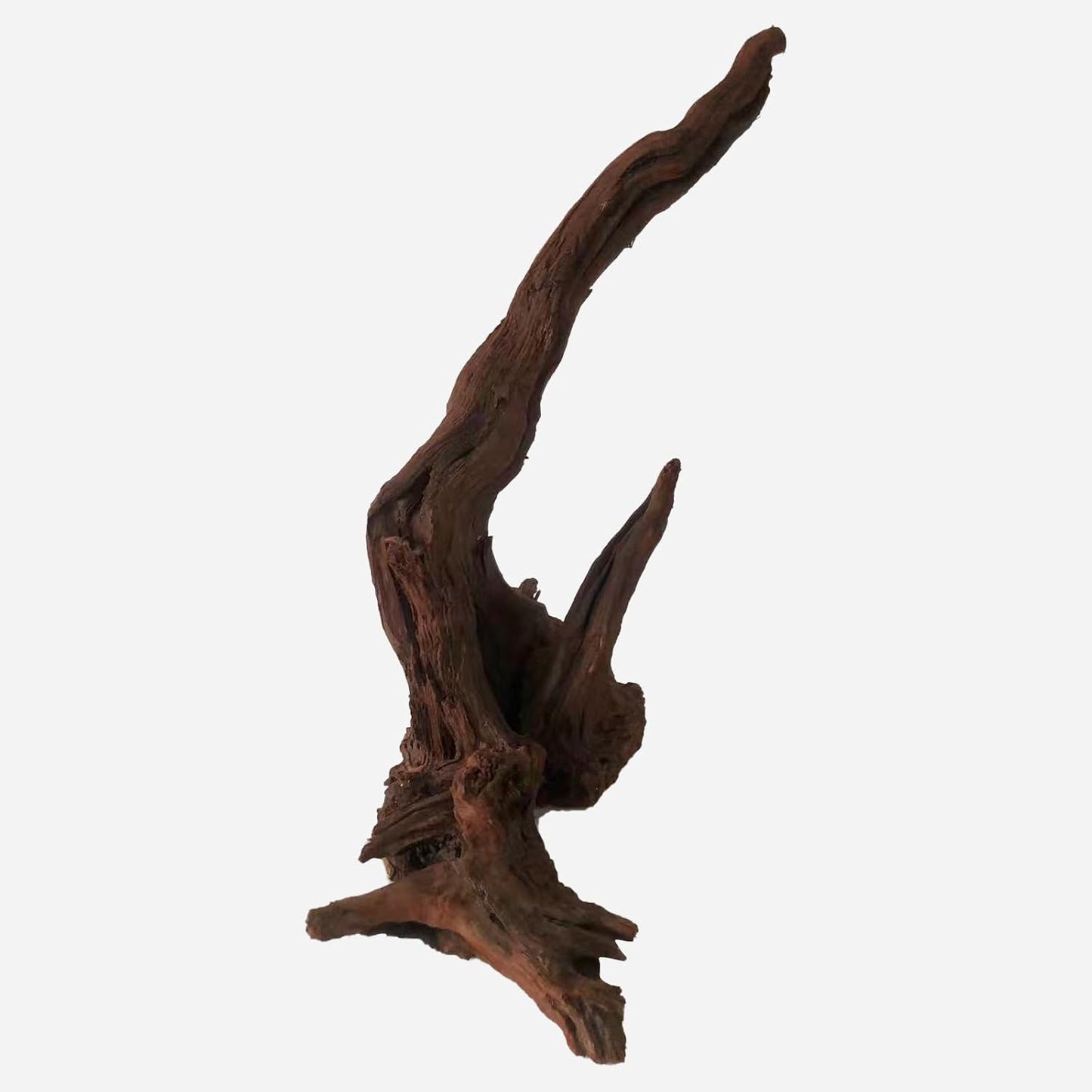 LYPHARD AQUARIUMS Natural Driftwood for Aquarium Decor, L11.81×W9.06×H16.54 Inches Large Drift Wood Decorations for Reptile Hide, Fish Tank, Optional Shapes