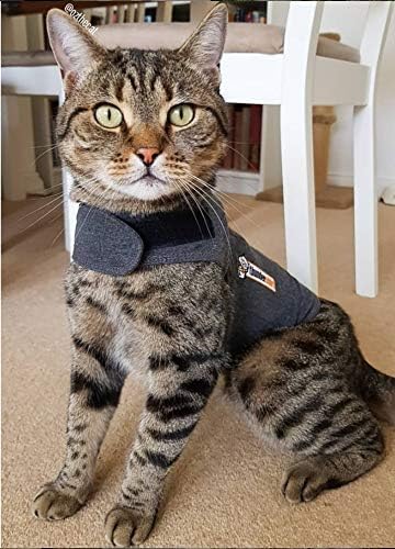 ThunderShirt For Cats, Grey, Large ( > 13 lbs)