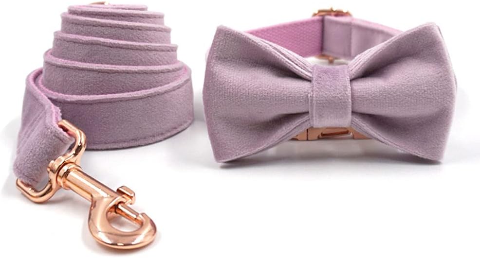 PETDURO Custom Dog Collar Personalized with Name Engraved Quick Release Rose Gold Metal Buckle for Large Medium Small Girl Dogs - Dog Leash and Bow Tie Available - Soft Comfy Velvet (Purple, L)