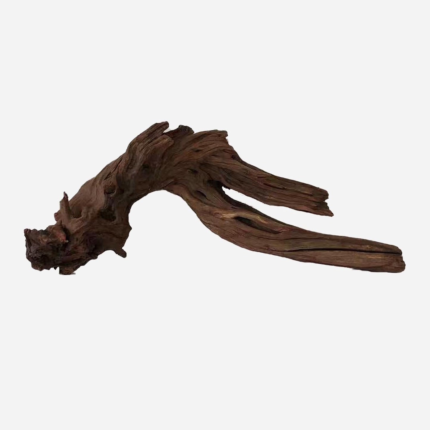 LYPHARD AQUARIUMS Natural Driftwood for Aquarium Decor, L20.47×W5.91×H7.87 Inches Large Drift Wood Decorations for Reptile Hide, Fish Tank, Optional Shapes