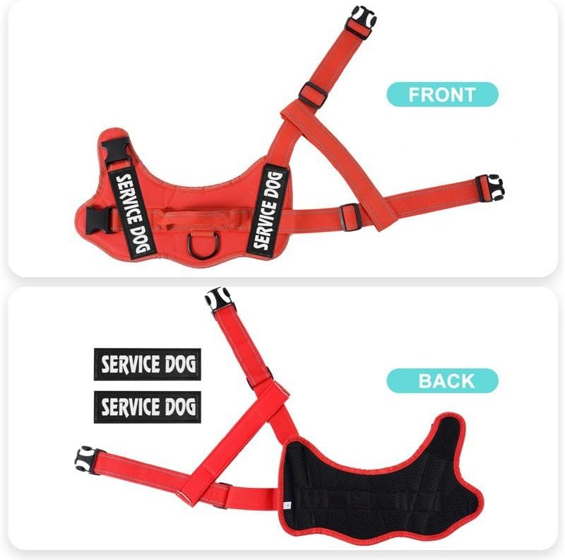 Custom Personalized No Pull Dog Harness with ID Name Phone Number and Rope Dog Leash Set, Heavy Duty Reflective Easy On Pet Vest Harness for X-Small Small Medium Large X-Large Dogs