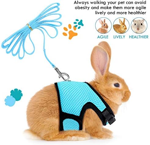 SATINIOR 2 Pieces Bunny Rabbit Harness with Leash Cute Adjustable Buckle Breathable Mesh Vest for Kitten Puppy Small Pets Animal Walking Accessories