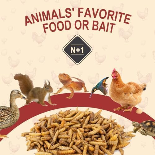 DE AVILA Dried Black Soldier Fly Larvae for Chickens Bulk, Non GMO 86X High Calcium Grubs Than Meal Worms for Laying Hens,100% Natural BSF Larvae for Chicken Wild Bird Treats 2.5LB