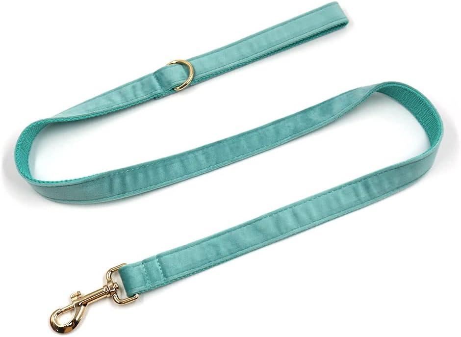 PETDURO Personalized Dog Collar Mint Green Soft Velvet for Large Medium Small Boy Girl Dogs - Custom Collar with Name Phone Number Engraved on Gold Metal Buckle - Add Leash Bow Set via Customize Now