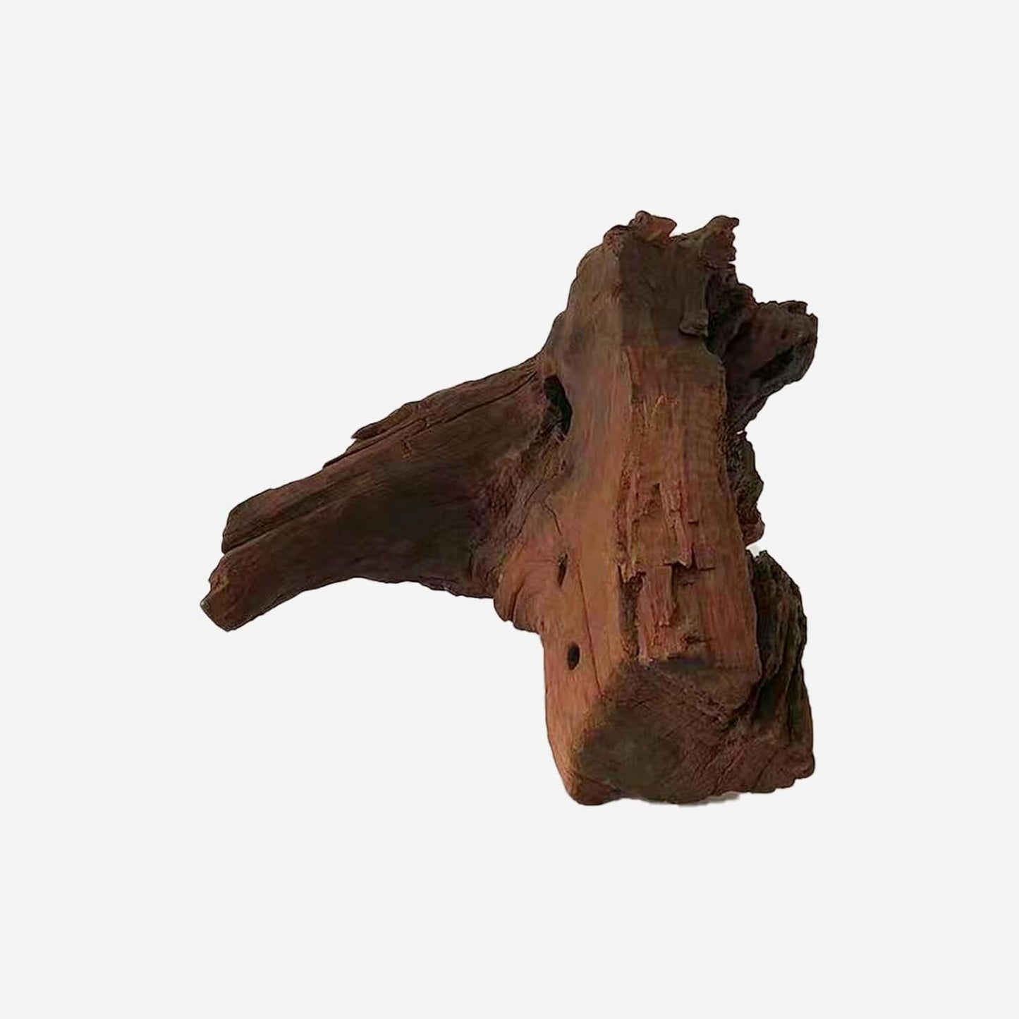 LYPHARD AQUARIUMS Natural Driftwood for Aquarium Decor, L18.5×W11.02×H9.45 Inches Large Drift Wood Decorations for Reptile Hide, Fish Tank, Optional Shapes