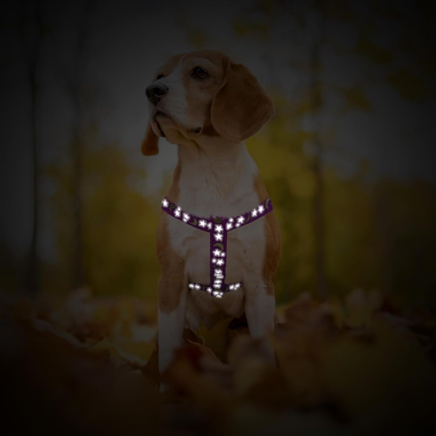 PUPTECK No Pull Dog Harness Soft Adjustable Basic Nylon Step in Puppy Vest Outdoor Walking with ID Tag, Moon Star Purple, S