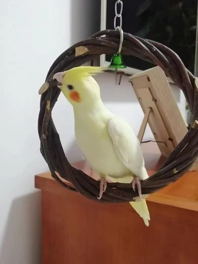 kathson 8PCS Wood Bird Perch Natural Parakeet Perches Bird Swing Chew Toys Natural Paw Grinding Stick Cage Accessories for Parrot Cockatiels Budgie Conure Finches Lovebirds