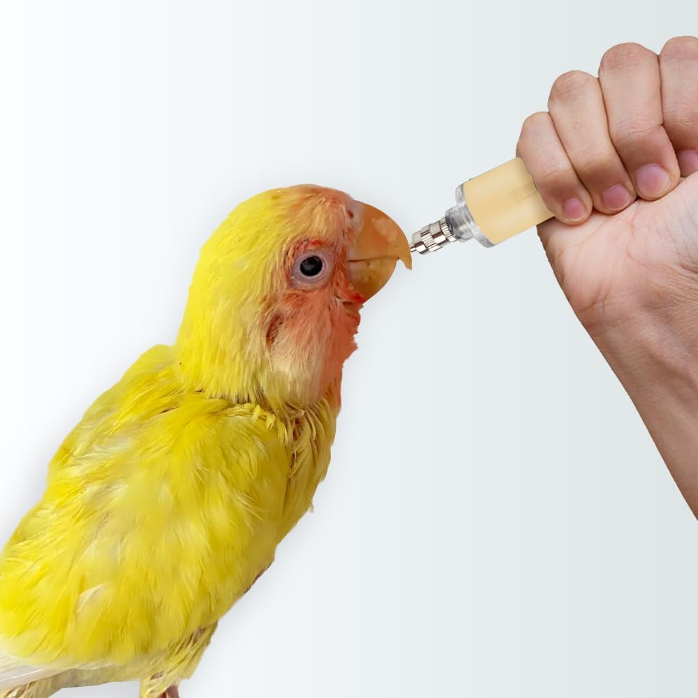 Bird Feeding Syringe Feeding Tubes for Baby Birds Parrot Hand Feeding Syringe with Curved Gavage Tubes and Stainless Steel Metal Feeding Spoon (9Pcs)