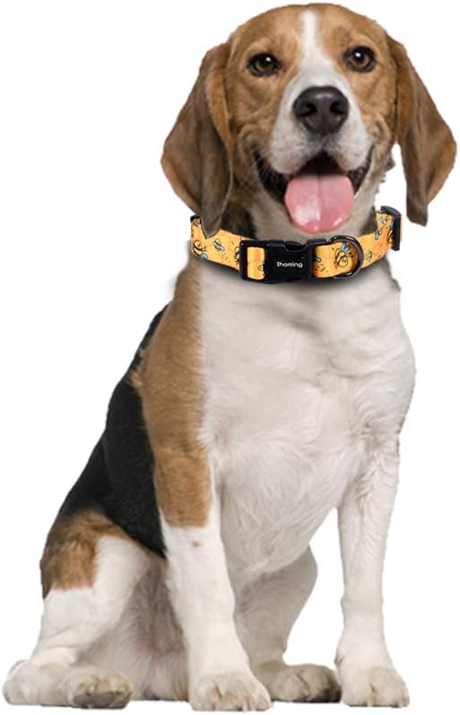 Ihoming Puppy Collar and Leash Set for Daily Outdoor Walking Running Training, Bee Design for Extra Small Boys Girls Dogs Cats Pets, XS-Up to 10LBS