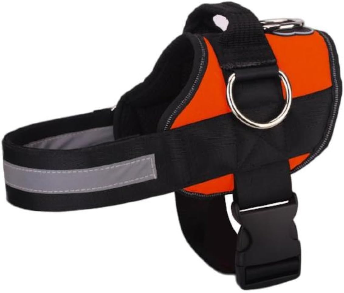 Joyride Basic Essential Dog Harness 1.0 - Small, Medium, Large Dogs, No-Pull Pet Vest with 3 Side Rings for Leash Placement, Adjustable for Training (Orange Glow, XS)