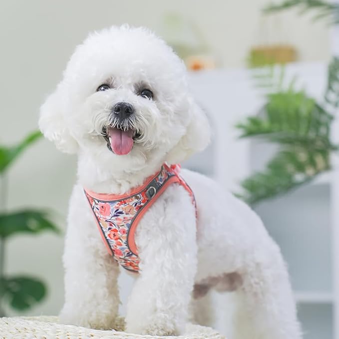 Step in Dog Harness and Leash Set, Flower Adjustable Easy Walk Puppy Harnesses, Soft Mesh Pet Vest Harness Small Size Dog Adjustable No Pull Dog Harness for Small Medium Dogs(Pink, S)