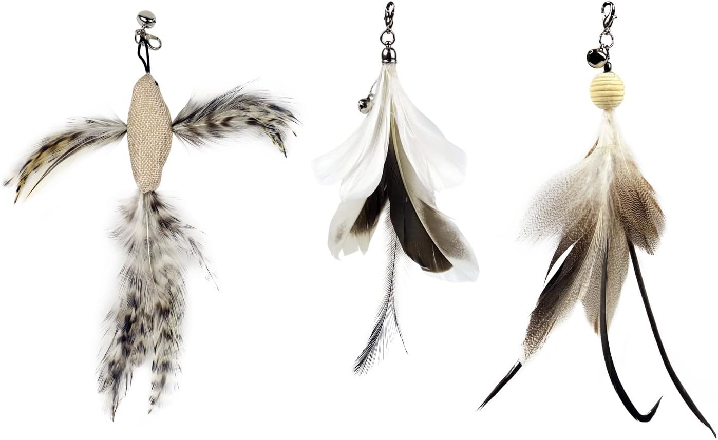 TTcat Cat Feather Toy Replacement Wand Refills, 10 Pcs Simulation Insects Bird Feathers