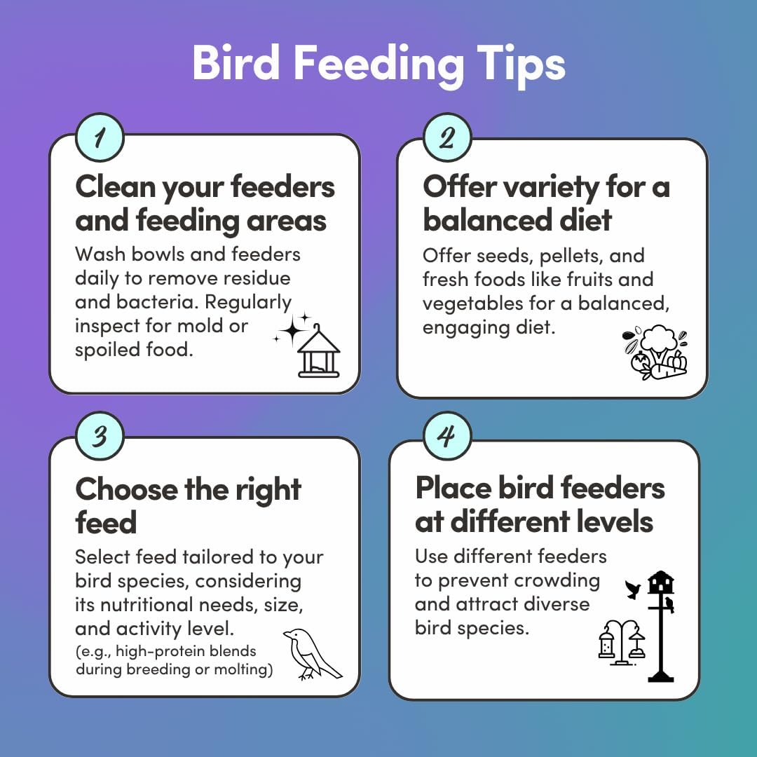 Mycelium Pigeon Racing Plus Feed (5 LB Bag) | Organic, High-Protein Racing Pigeon Food with Probiotic Gut Support | Fortified for Strength & Stamina | Debris-Free Bird Seed, Non-GMO, USA Made