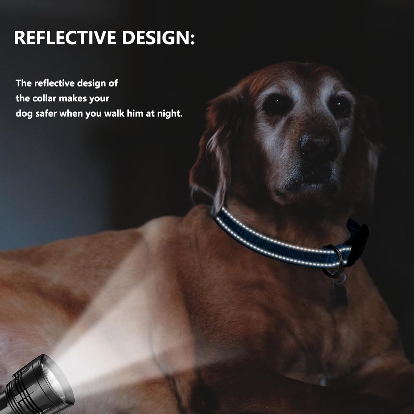 DIY Personalized Embroidered Dog Collar - Custom Hand-Stitched Name & Number, Reflective Adjustable Pet Collar for Small/Medium/Large Dogs & Cats, Durable Nylon with Steel D-Ring (Gray, Large)