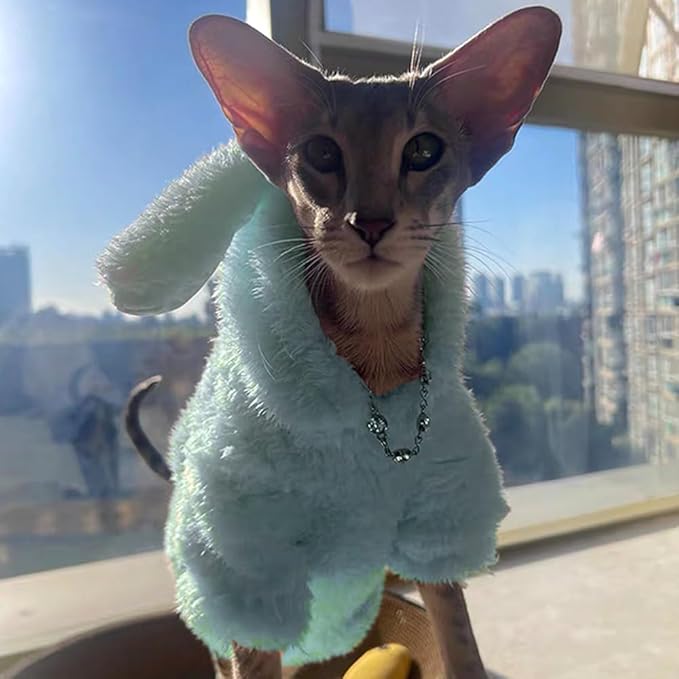 Stretchy Fuzzy 2-Leg Cat Hoodie Pajamas for Sphynx,Soft Fluffy Loungewear with Bunny Ears, Cozy Home Clothes for Hairless Cats, Winter Warm Outfit Sweater (Blue, XL (8-11 lbs))