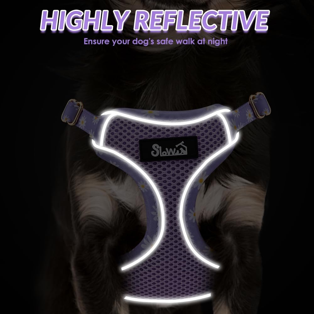 Lukovee No Pull Puppy Harness and Leash Set - Soft Lightweight Escape Proof Puppy Vest Harness, Breathable Adjustable Pet Harness with Dog Leash for Small Dogs (Purple, XS)