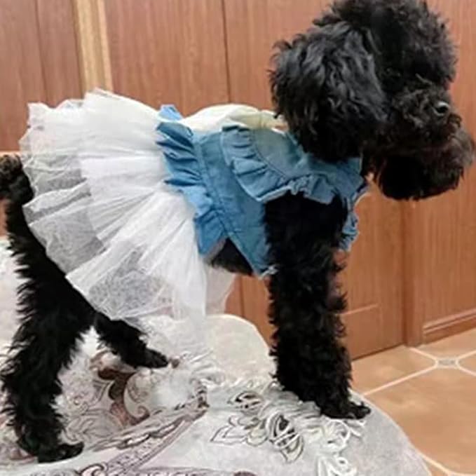ANIAC Blue Denim Dog Dresses for Small Dog Girl Spring Summer Puppy Clothes Fancy Dress for Cat White Lace Dogdy Tutu Outfit for Birthday Wedding Valentine(Small)