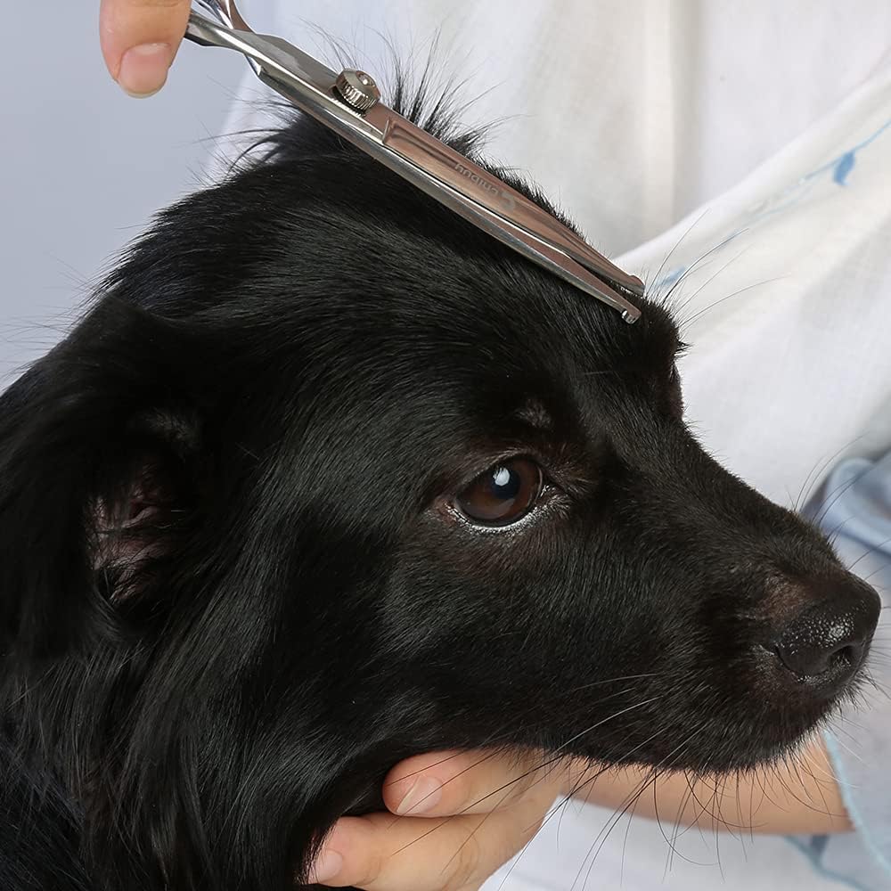 Chibuy Professional Dog Grooming Scissors Straight Cut with Safety Round Tips, 4CR Stainless Steel & Titanium Coated for Precise Cutting, for Professional Groomers & Home Use, for Dogs & Cats