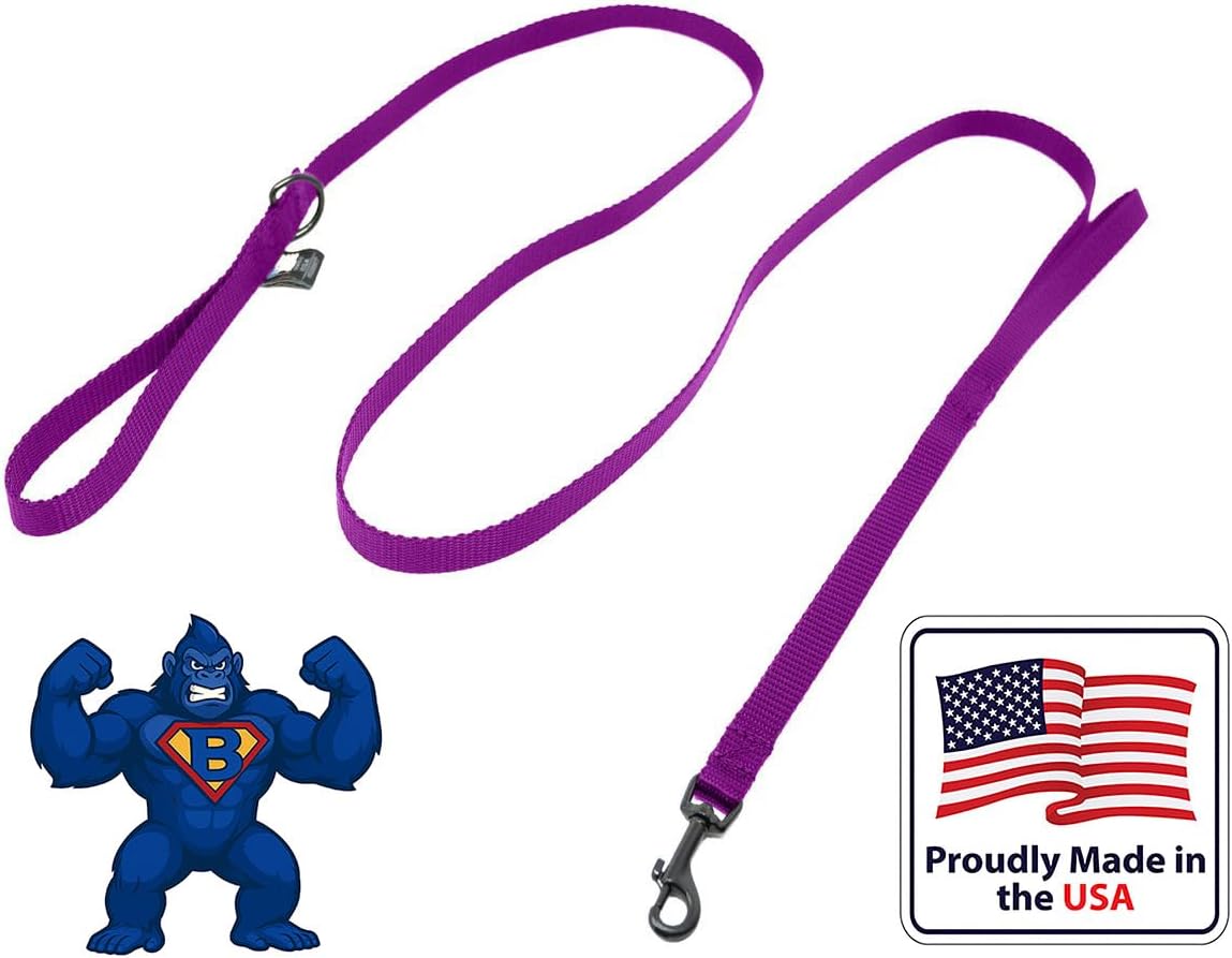 Dog Leash for Teacup Toy Minature and Small Dogs Primary & Traffic Handle The Bulk Multiple Sizes & Colors 5/8” Width Nylon Proudly Made in The USA (Purple, 6 Foot)