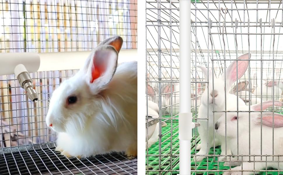 Stainless Steel Rabbit Water Nipples Feeder PVC Tees Automatic No Drip Watering System Kit for Guinea Pigs Ferrets and Other Rodent Small Animals (6PCS)