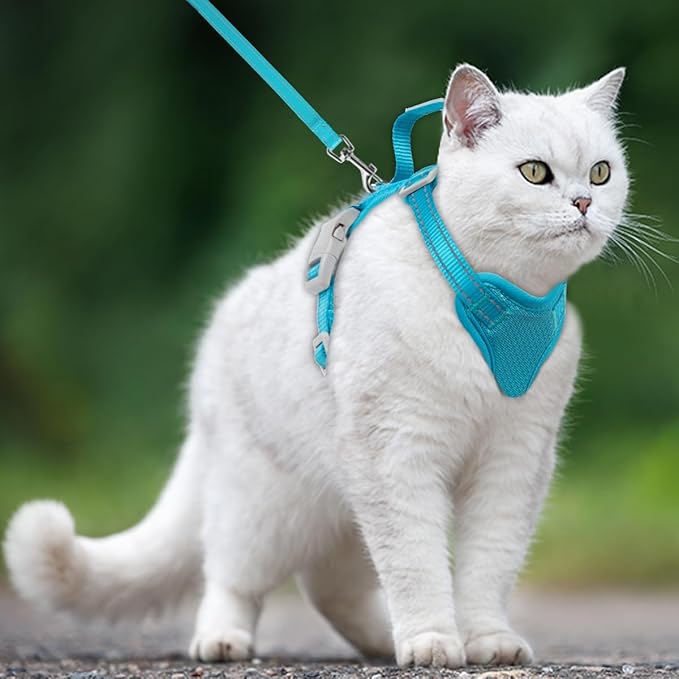 Cat Harness and Leash Set Escape Proof for Kitten Walking, Soft Adjustable Top Handle Vest Harnesses for Cats, Easy Control Breathable Reflective Small Medium Large, Blue,M