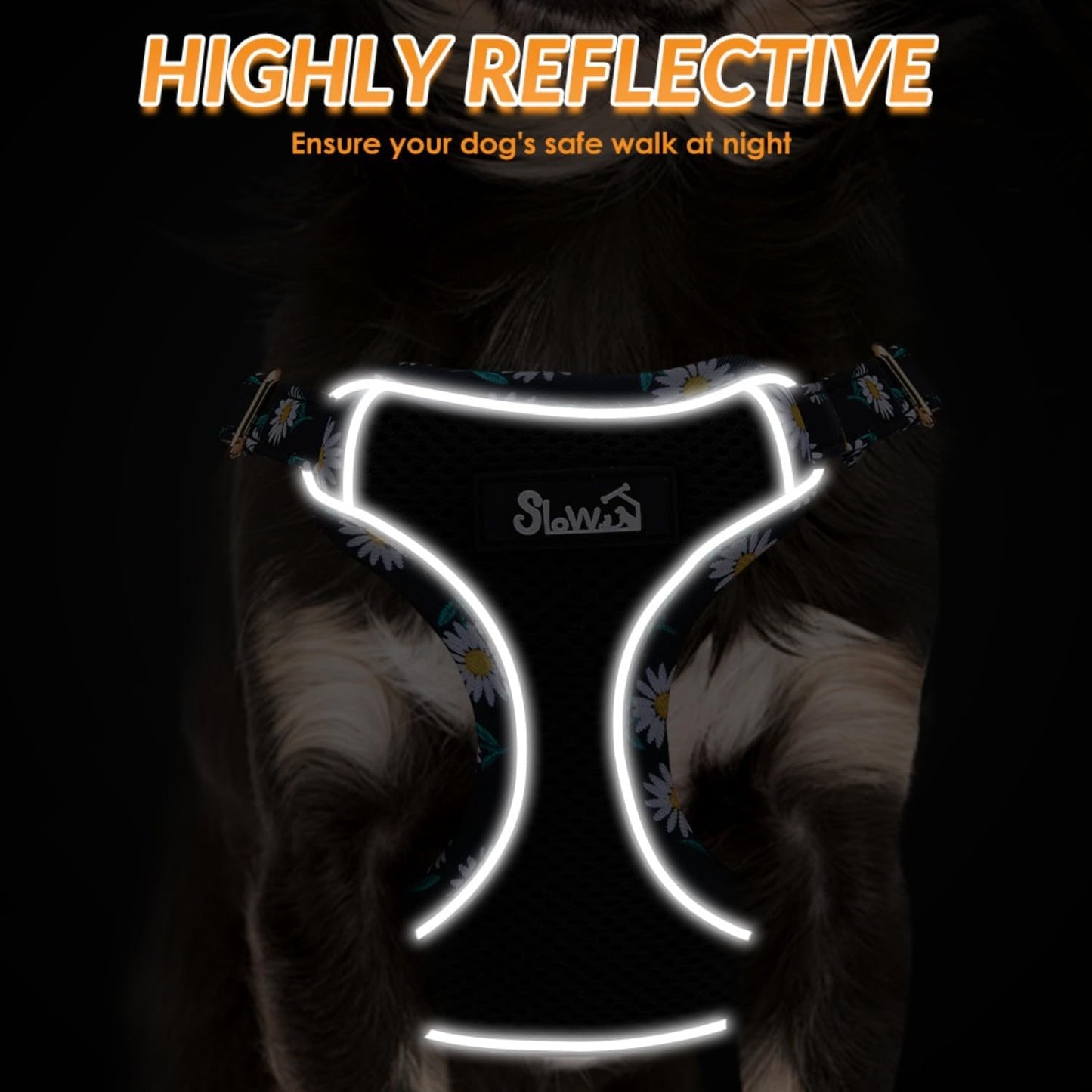 SlowTon Small Dog Harness - No Pull Dog Harness and Leash Set, Soft Mesh Lightweight Puppy Vest Harnesses, Adjustable Pet Harnesses for XXS XS Small Medium Easy Walk Hiking (Black, XXS)