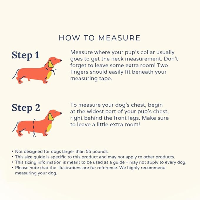 Lucy & Co. Cheery Cherries, Cute Reversible Dog Harness Walking Halter - Best Designer Pet Harnesses for XS - XL Dogs - Padded Adjustable Vest for Easy Walking (X-Small)