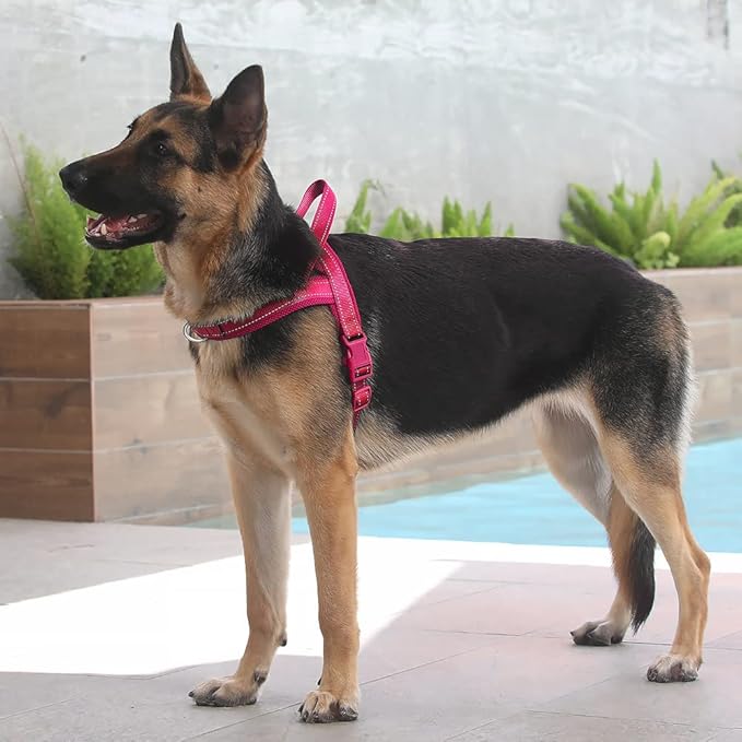 Plutus Pet No Pull Dog Harness with Breathable Mesh Padded, Adjustable Reflective Escape Proof Dog Harness, Quick Fit Dog Vest Harness for Small Medium Large Dogs(L, Pink)