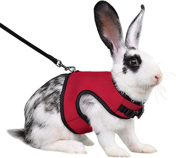 Ferret Harness and Leash Set,Small Rabbit Harness Leash Bunny Walking Training for Rat Guinea Pig Hamster Squirrel Ferret Small Animal Pets Harness,Red M