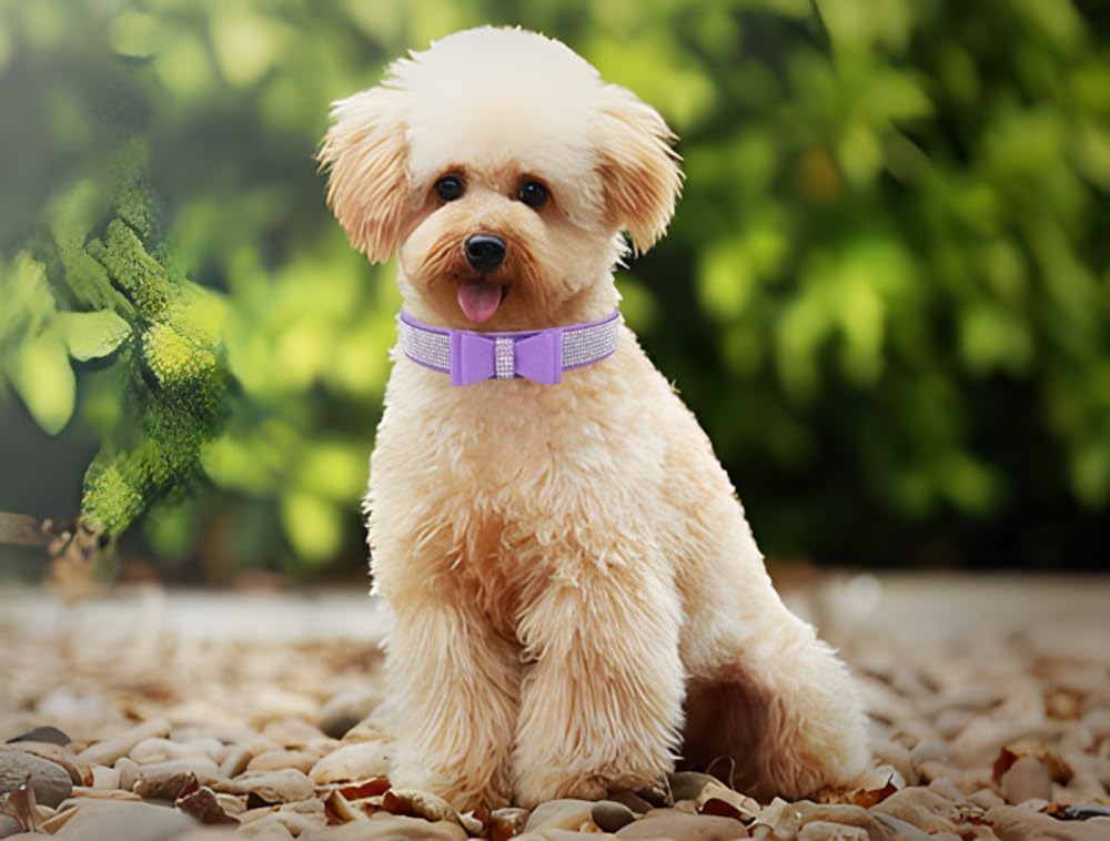 Serijoars Small Dog Collar with Rhinestone Crystal Diamond Colorful Bling Girl Puppy Cat Collars (S, Purple1)