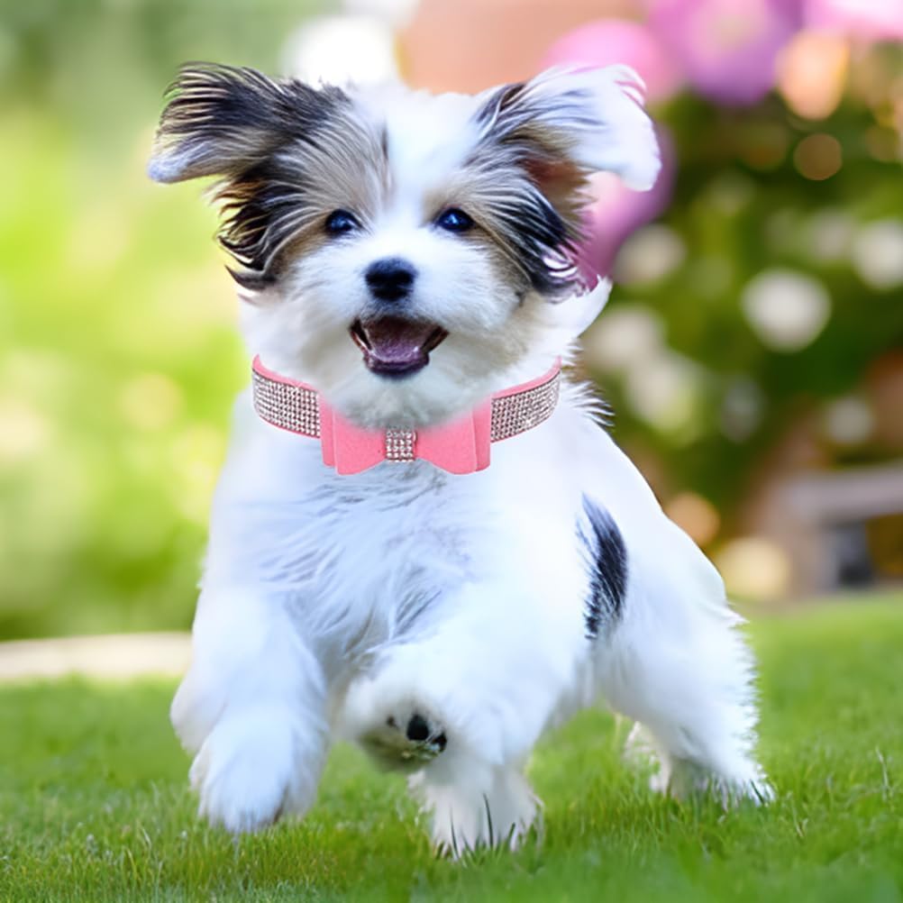 Serijoars Small Dog Collar with Rhinestone Crystal Diamond Colorful Bling Girl Puppy Cat Collars (M, Pink1)