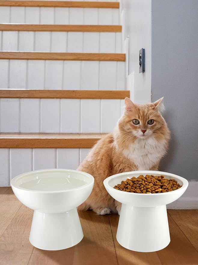 LoeJan Elevated Cat Food and Water Bowls Set, Extra Wide and Raised Ceramic Feeder, Anti-Vomit Whisker-Free Pressure Feeding Bowl for Kittens Adult Small Dogs