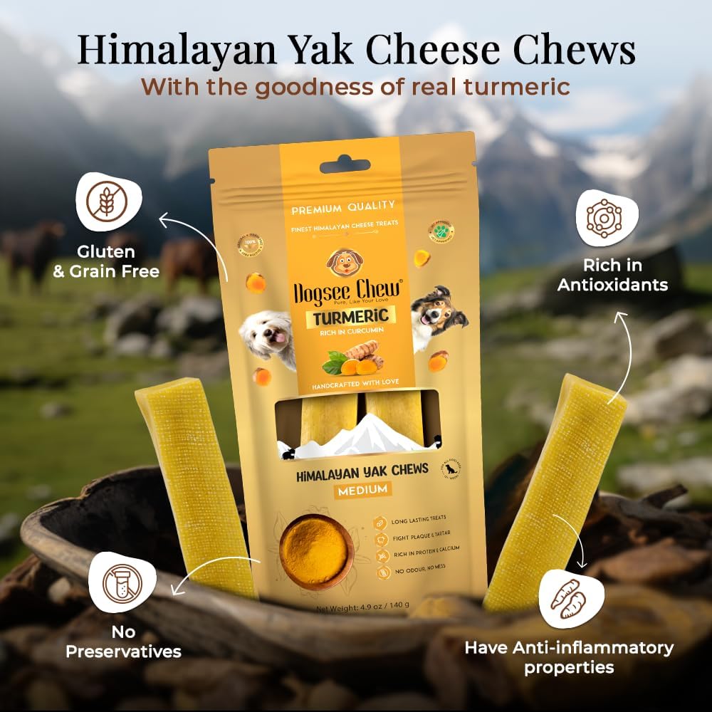 Dogsee Himalayan Yak Cheese Dog Chews with Turmeric/Curcumin (Medium - 2 Chews) | All Natural Long Lasting | Anti-inflammatory | Odorless High Protein Chew | Dog Treats for Active Chewers