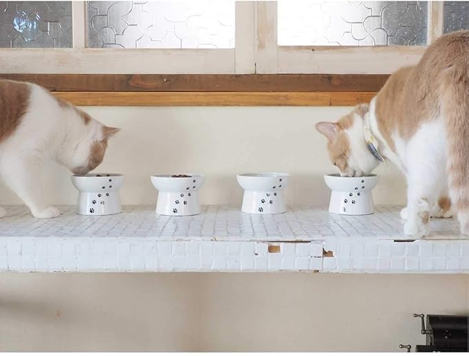 Necoichi Raised Cat Food Bowl – Ceramic Elevated Cat Bowl for Whisker & Neck Fatigue, Dishwasher Microwave Safe – Non-Slip & Anti Vomiting Ergonomic Design (Cats, Regular)
