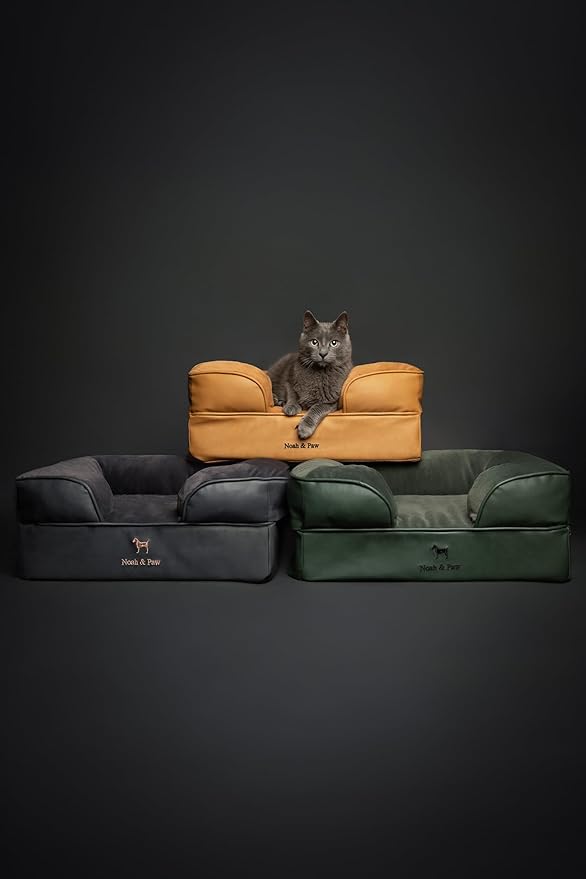 NOAH & PAW Small Dog Bed, 20x15x8 Inch, Cat Bed for Indoor Cats, Orthopedic Eggshell Memory Foam Infused with Cooling Gel, Waterproof Inner Cover Machine Washable (Faux Leather Collection)