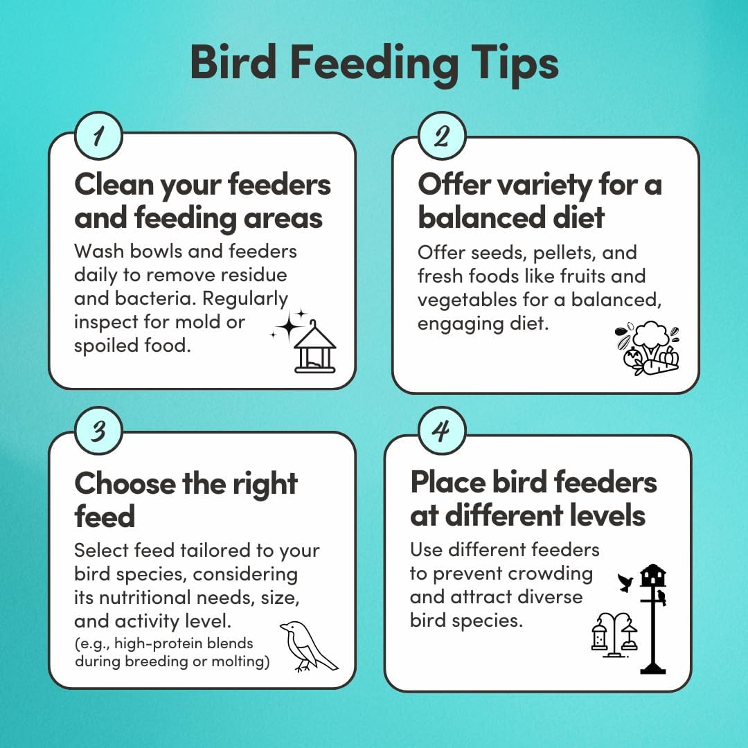 Mycelium Dove Premier Wild Bird Seed (5 LB Bag) | Organic, High-Protein Bird Food for Doves, Pigeons & Ground-Feeding Birds | Supports Brain & Heart Health | Non-GMO, USA Made, Filler Free