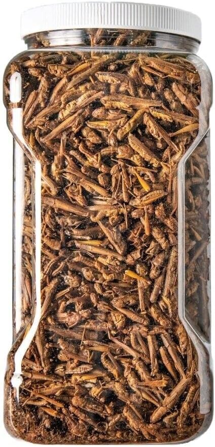 Aquatic Foods Inc. Grasshoppers - Freeze Dried Grasshoppers for Tropical Fish, Reptiles, Turtles, Tortoises Frogs, Hamsters, Birds, Rodents…5oz Med Jar