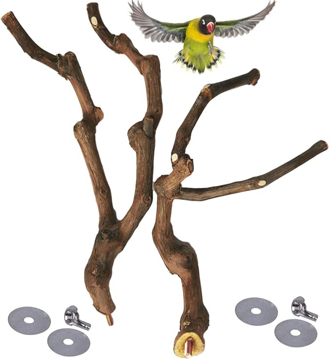 kathson Natural Parrot Perch Bird Stand Pole Wild Grape Stick Paw Grinding Fork Parakeet Climbing Standing Branches Toy Chewable Cage Accessories for Small Budgies Cockatiels Lovebirds 3PCS