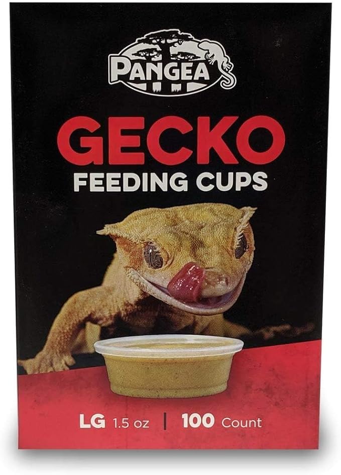 Pangea Large Gecko Ledge Replacement Cups 100 Count