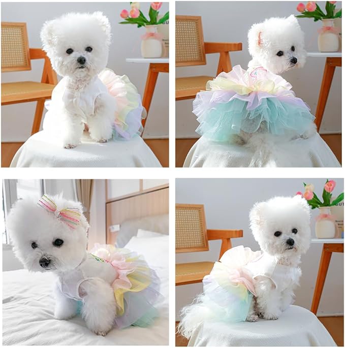 ANIAC Happy 1st Easter Dog Dress Girl Holiday Puppy Clothes for Small Dog Easter Cat Outfit Eggs Print Rainbow Doggy Princess Tutu Dress Pet Clothing (Large)
