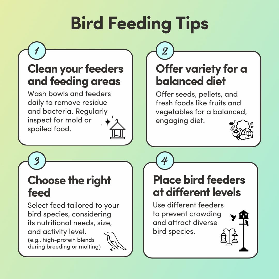 Mycelium Lovebird Feed (5 LB Bag) | Organic, Clean Seed Blend for Lovebirds & Small Parrots | Supports Skin & Feather Health | Non‑GMO, Shell-Free Nutrition | USA Made