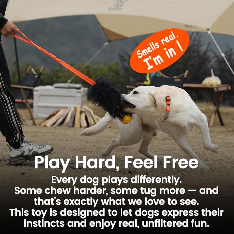 HOWGO Dog Rope,Dog Bungee Chaser 100% Sheepskin,Sheep Smell Tug for All Breeds(Orange, Long Without Ball 2Pack)