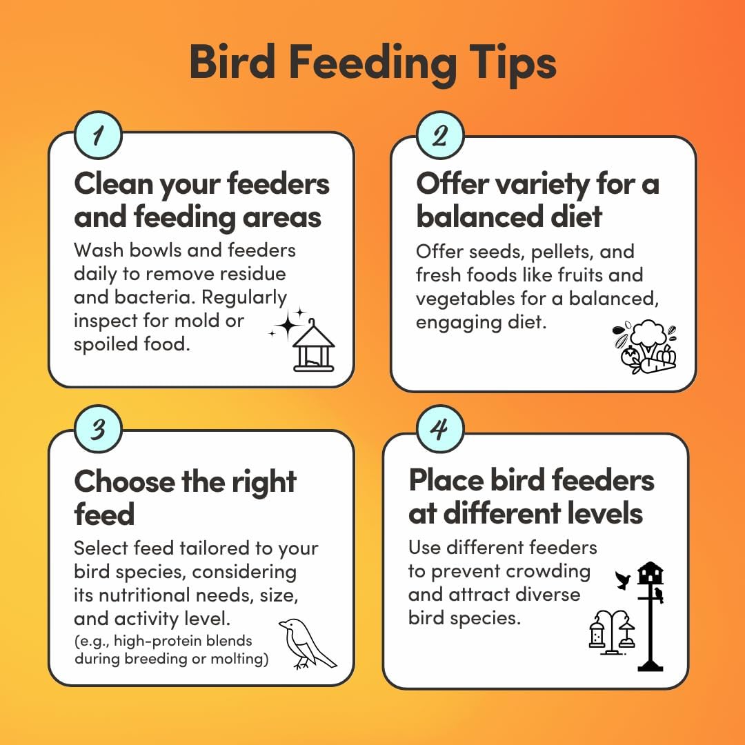 Mycelium Organic Cockatiel Protein Feed (5 LB Bag) | High-Protein, High-Fat Bird Seed for Energy, Growth, & Development | Seed & Superfood Blend for Cockatiels | Non-GMO, Made in USA