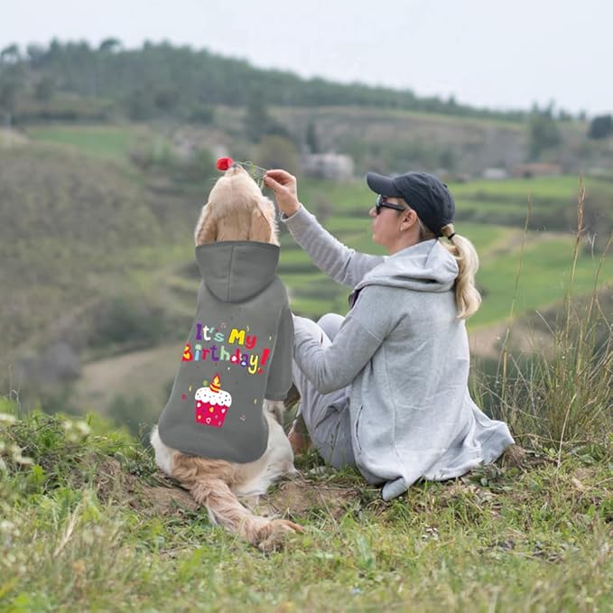 GreenJoy Dog Sweater Dog Hoodie Cold Weather Coat Hooded Sweatshirt for Puppies,Cats, Small Medium Large Dogs (Grey(It's My Birthday), Medium)