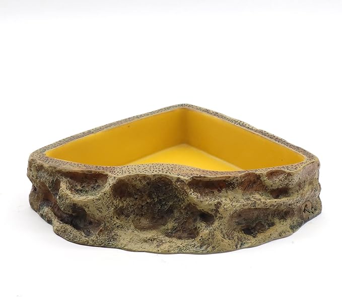 Reptile Feeder Resin Bowl Amphibian Reptile Bowl for Lizard Gecko Bearded Dragon Turtle