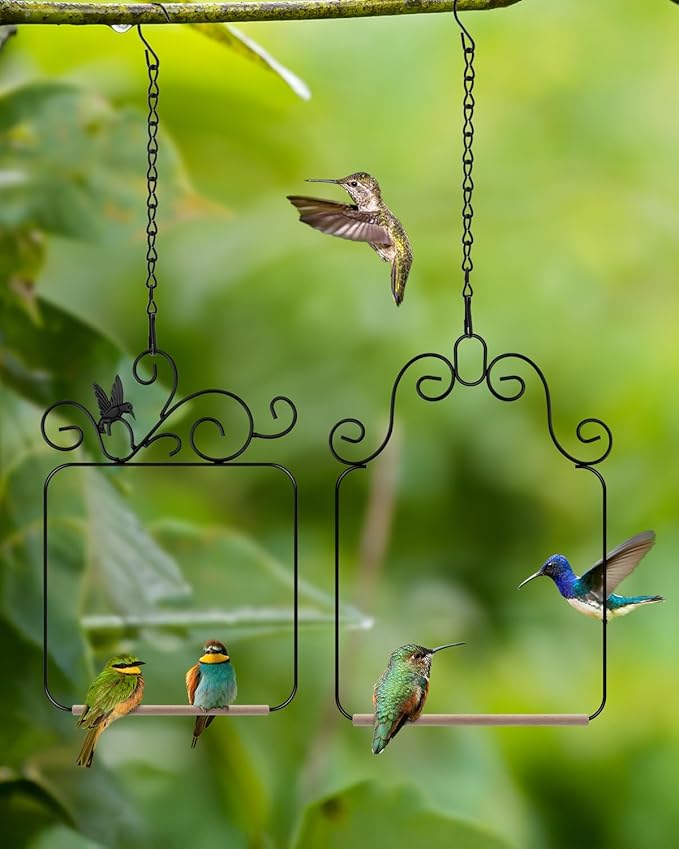 PACETAP Hummingbird Swings and Perches Metal Frame 4 Pack, Wild Bird Swing Outdoor Bird Perch with Wooden Dowel and Hanging Chain for Hanging Indoor, Outdoor, Trunk, Lawn, Patio, Garden (Black)